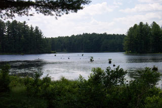 lake1.jpg